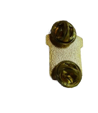 US Airborne  101 pin