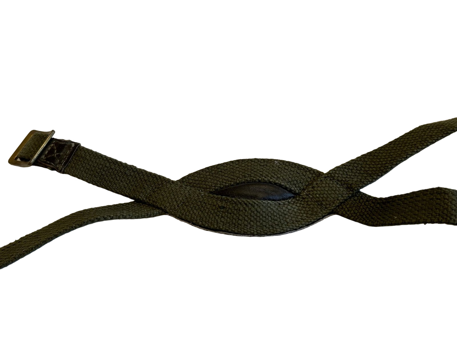 Engels model  Para chinstrap