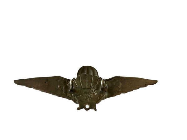 Aile de parachutiste en argent massif hover image