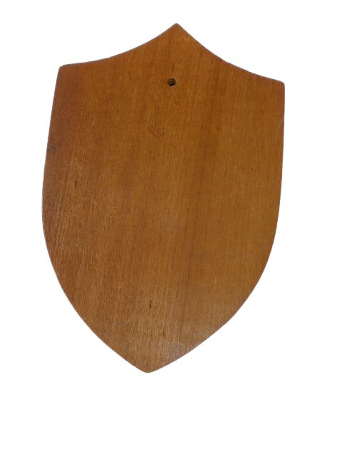 Noorse squadron  334  wandschildje