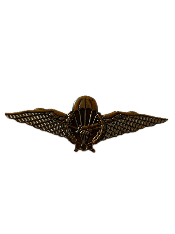 Aile de parachutiste de bronze hover image