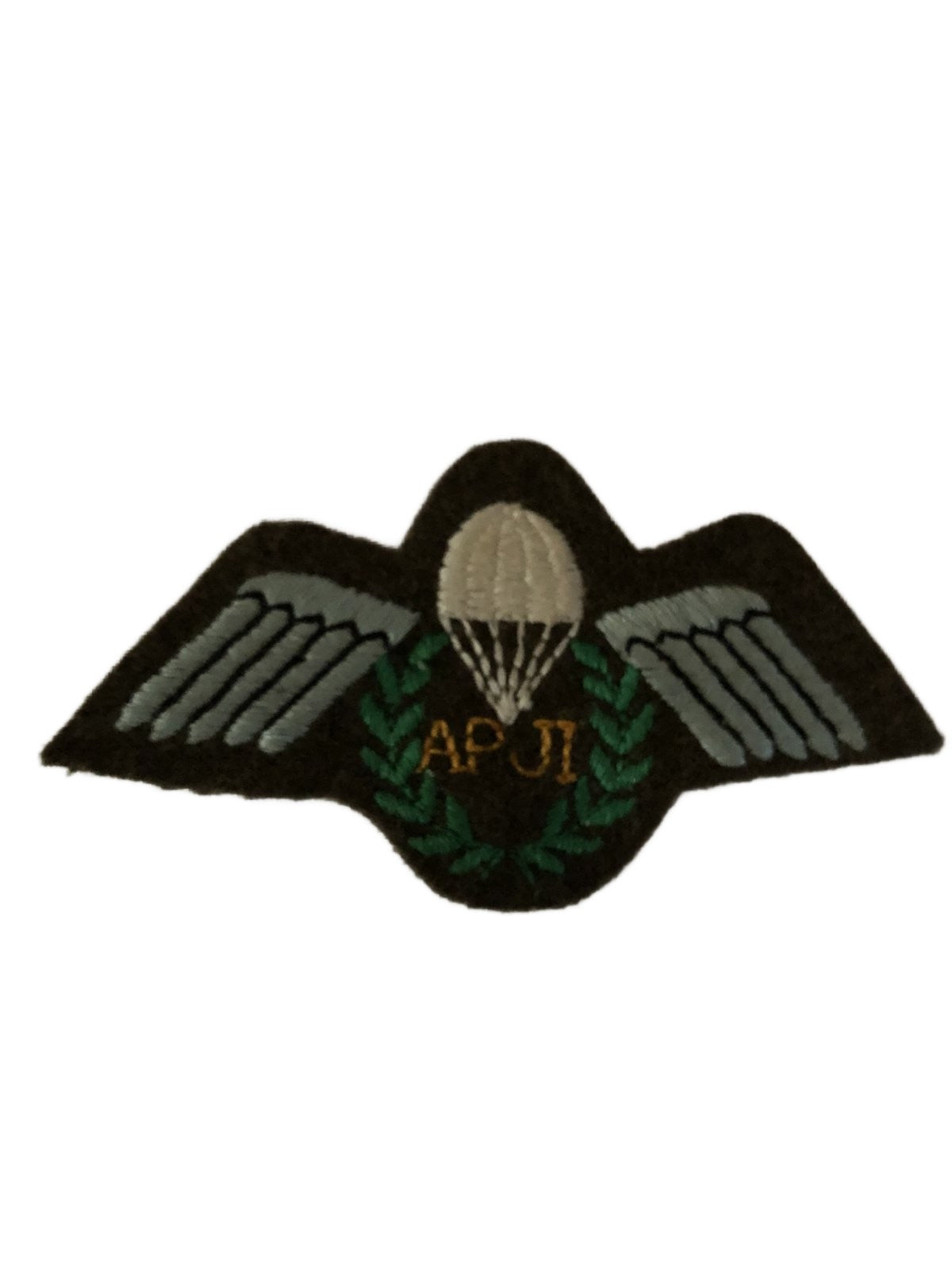 British wing Assistent Parachute Jump Instructor