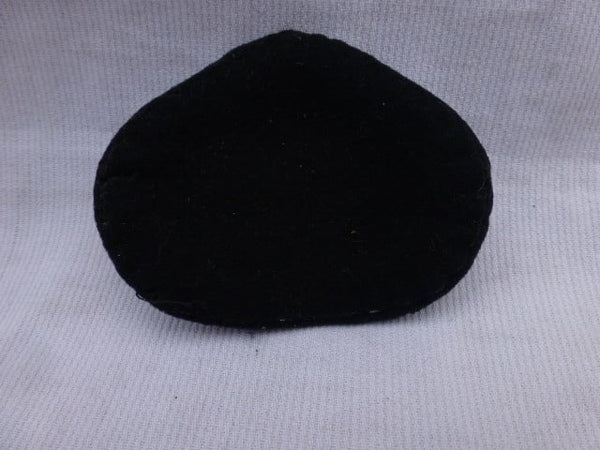 Pet embleem Rijksloodswezen hover image