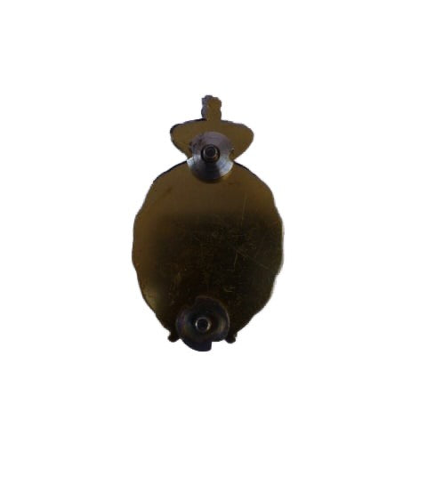 Brevet Tandarts  -Nederlands leger