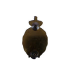 Brevet Tandarts  -Nederlands leger