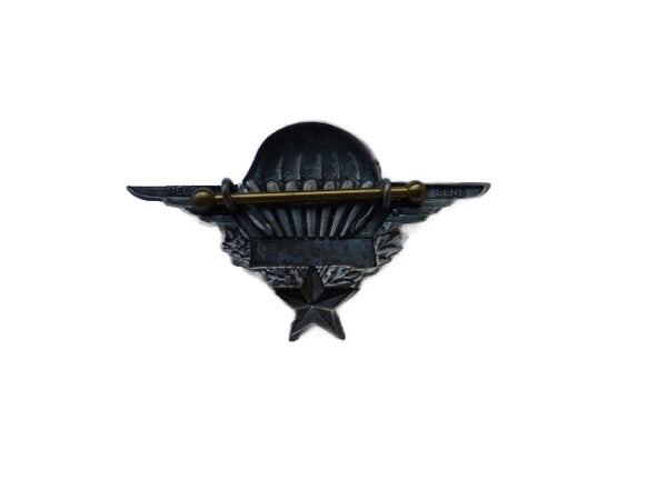 Aile de parachutistes française hover image