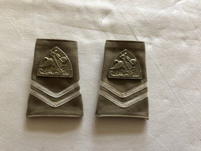 Cavalerie royale néerlandaise aux Indes