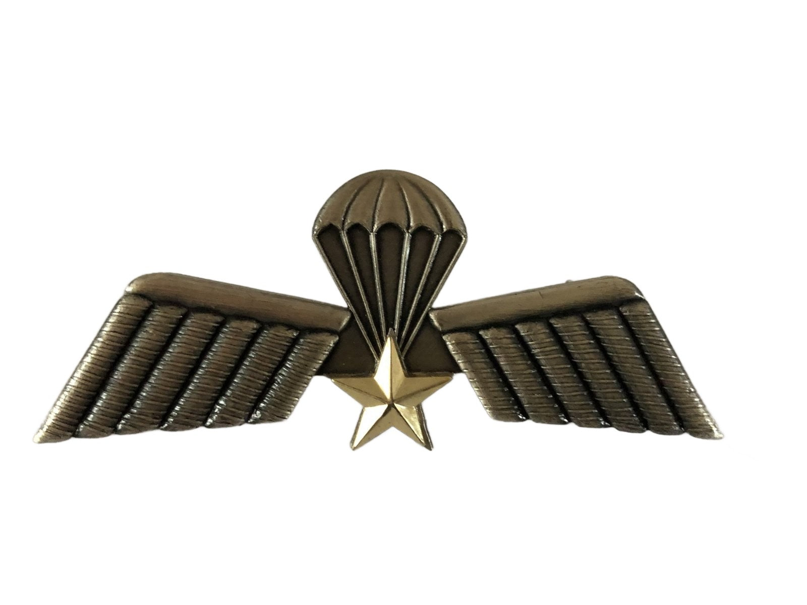 KL Para wing 104 Waarnemer