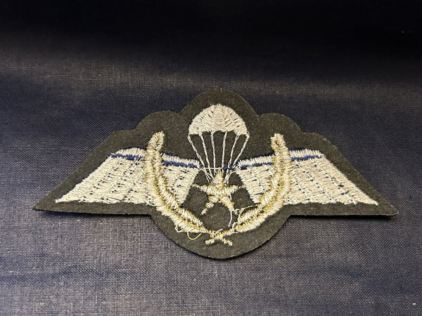 Permis de parapente avec sauts d'action hover image