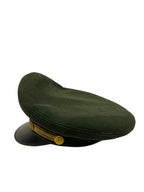 U.S. Army officierspet Vietnamperiode