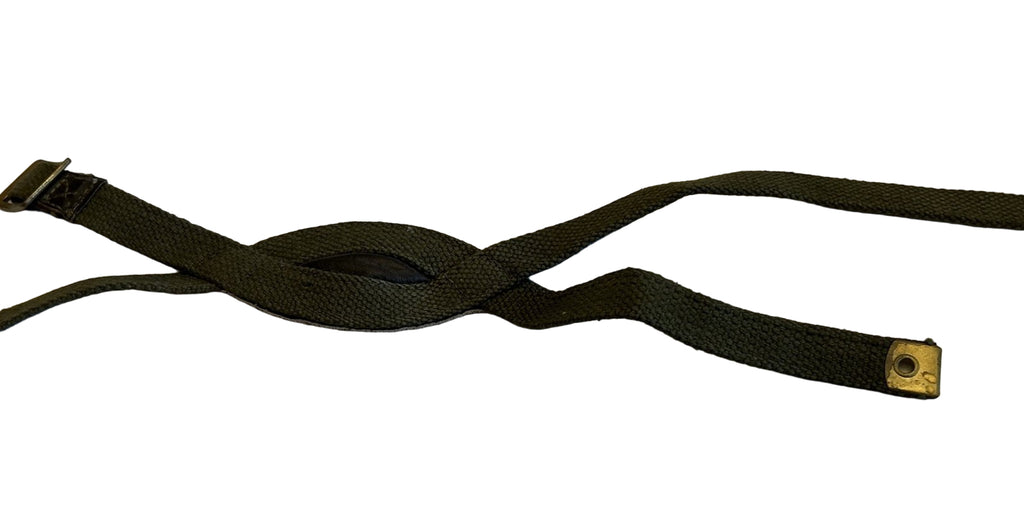 Engels model  Para chinstrap