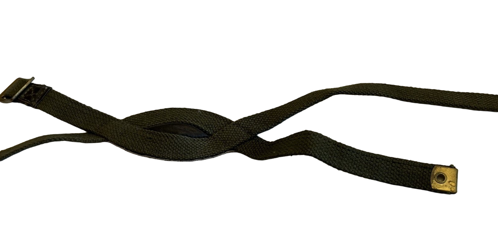 Engels model  Para chinstrap