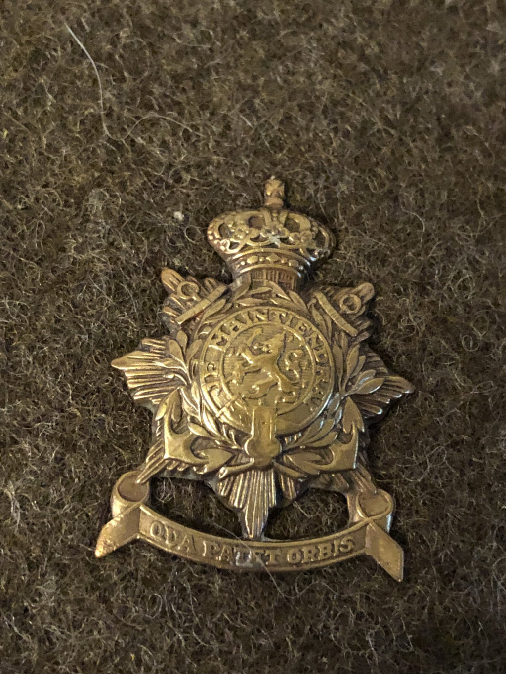 Mariniers embleem van veteraan