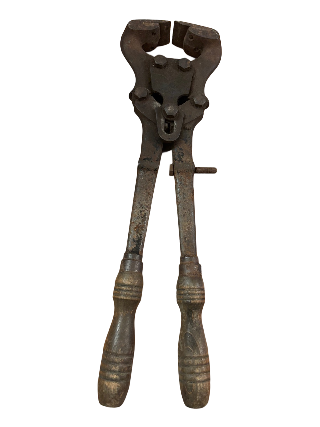 Antike veterinärmedizinische Pferdeklemme spätes -rond 1900