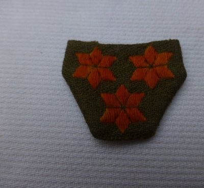 Kraagpunt Kapitein Irene Brigade wo2