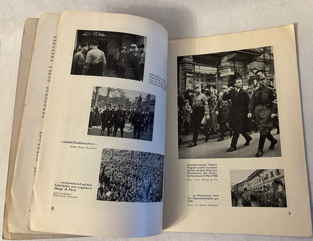 Die Deutsche Erhebung in Baden