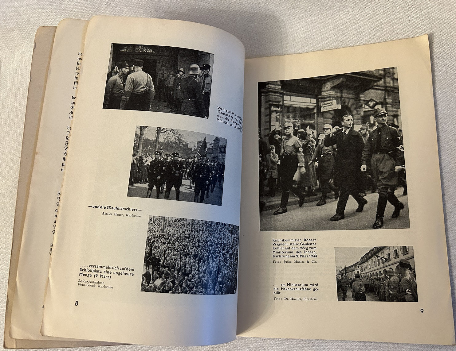 Die Deutsche Erhebung in Baden