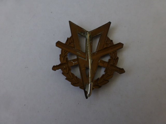 MLV  met zwemmen speld