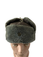 Russische wintermuts