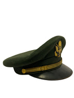 U.S. Army officierspet Vietnamperiode