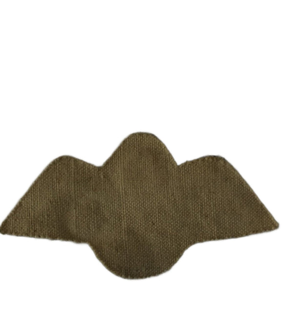 British wing Assistent Parachute Jump Instructor hover image