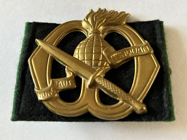 Commando Troops Corps beret badge hover image