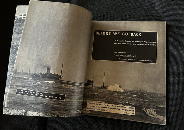 Engels boek Before we go back hover image