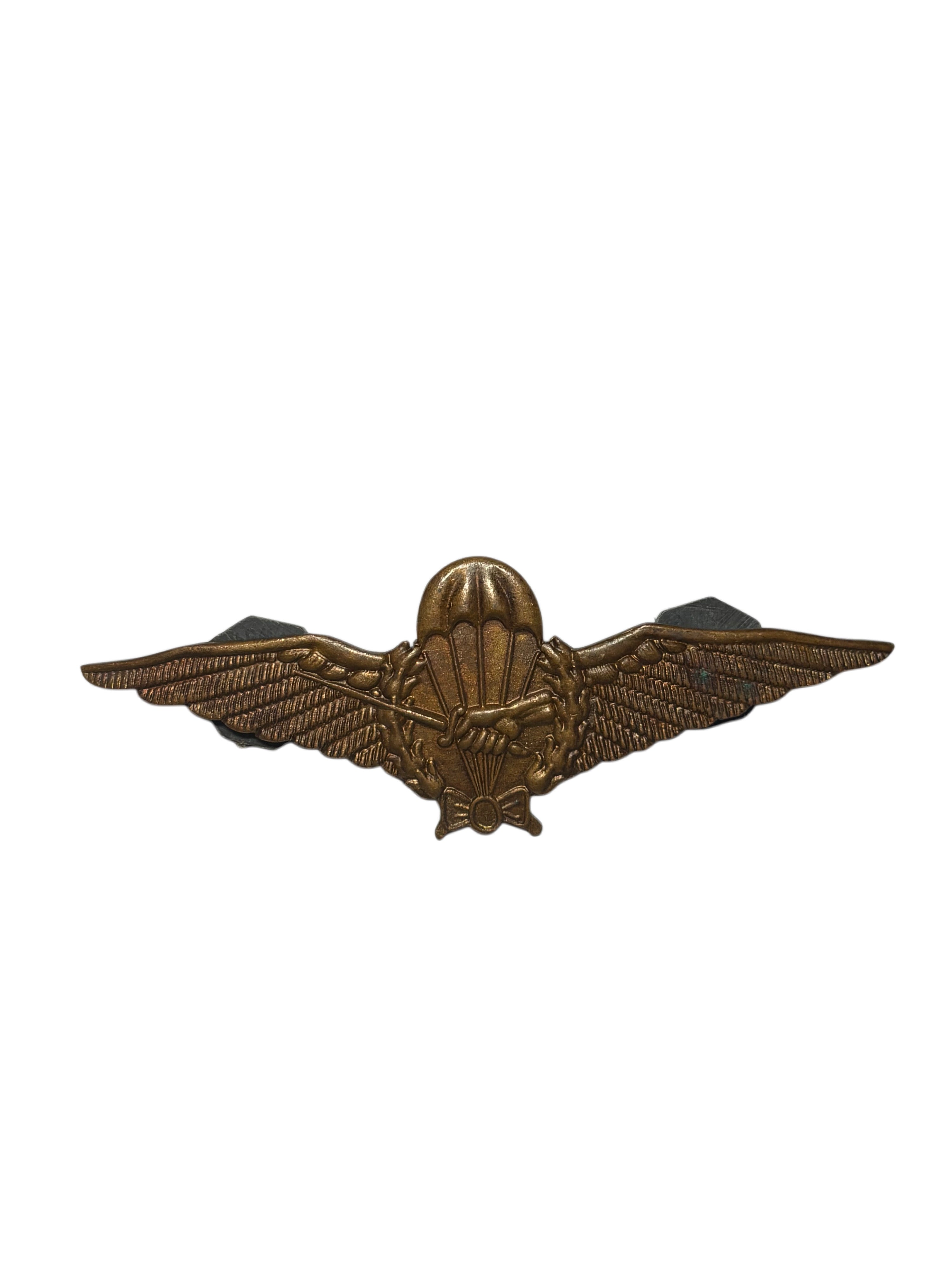 KNIL Bronzen Para wing