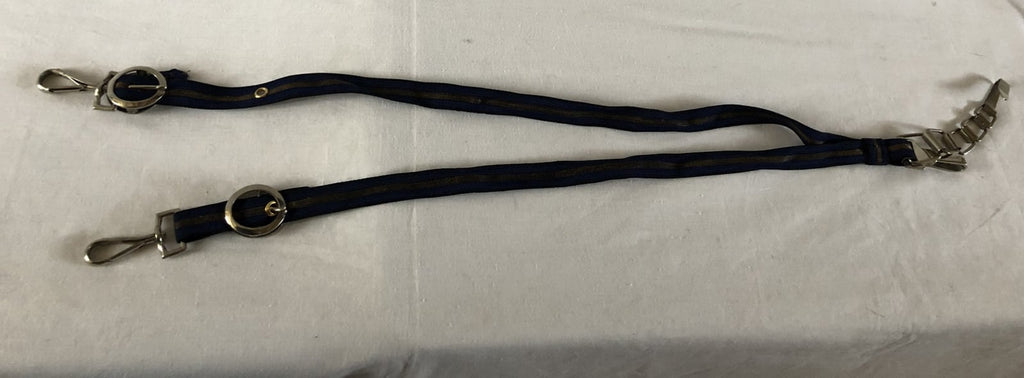 Sabel/Ponjaard drager