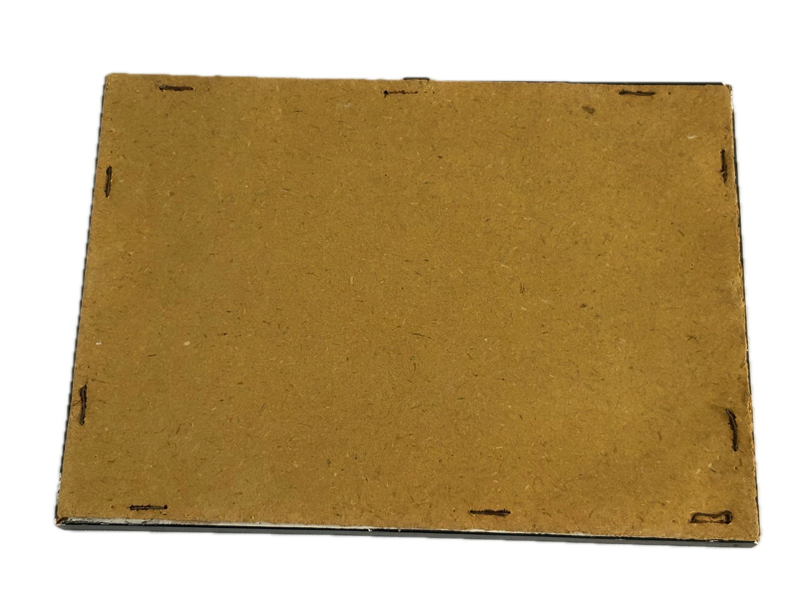 Prins Bernhard inspectie erewacht