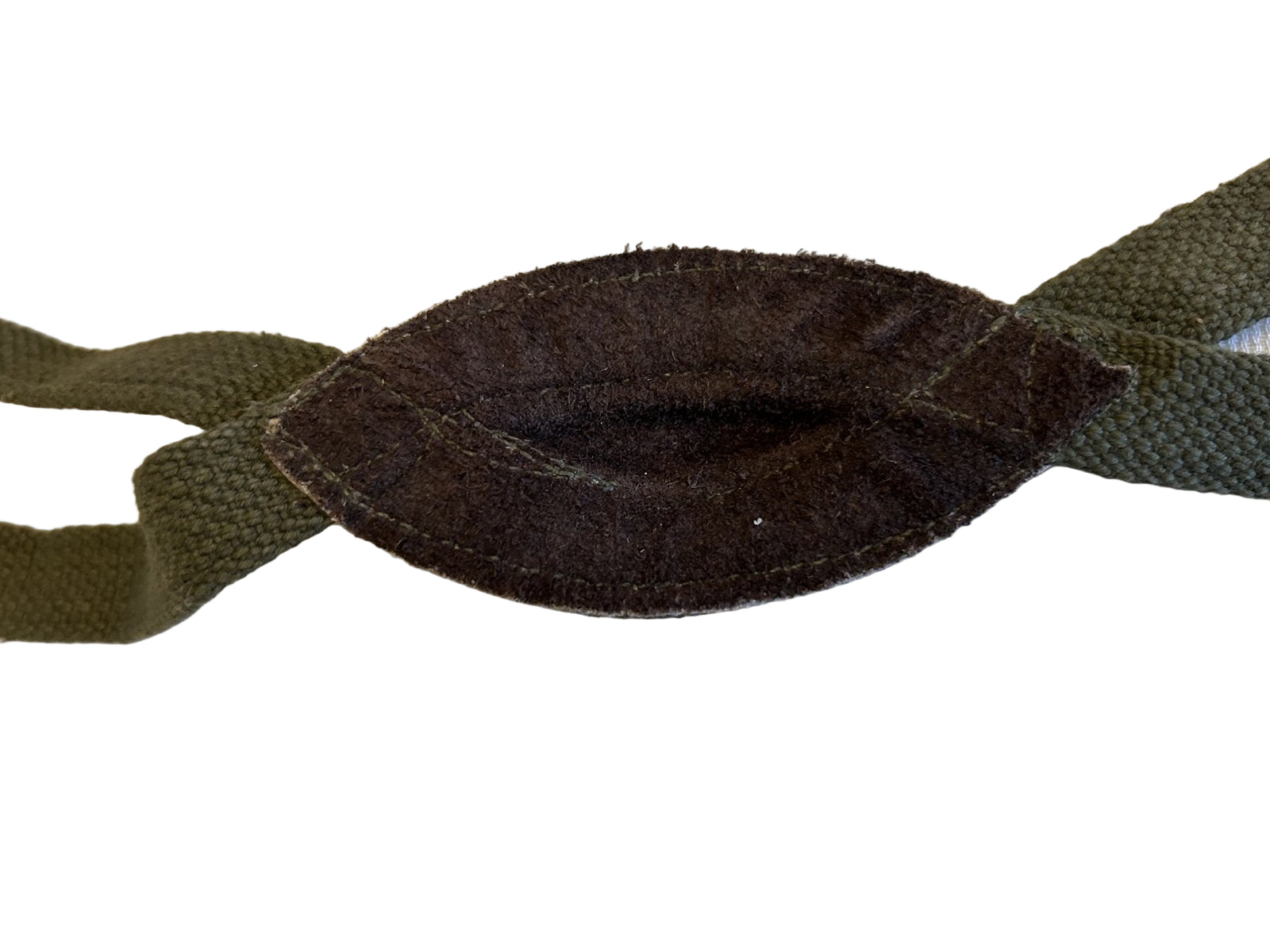 Engels model  Para chinstrap