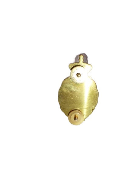 KL Dierenarts brevet