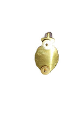 KL Dierenarts brevet