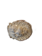 Ancien casque de pompier français en métal, vers 1900