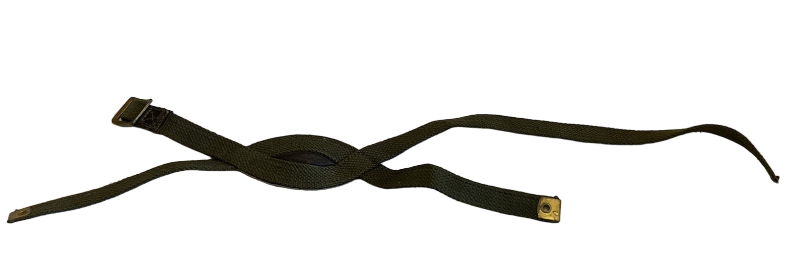 Engels model  Para chinstrap