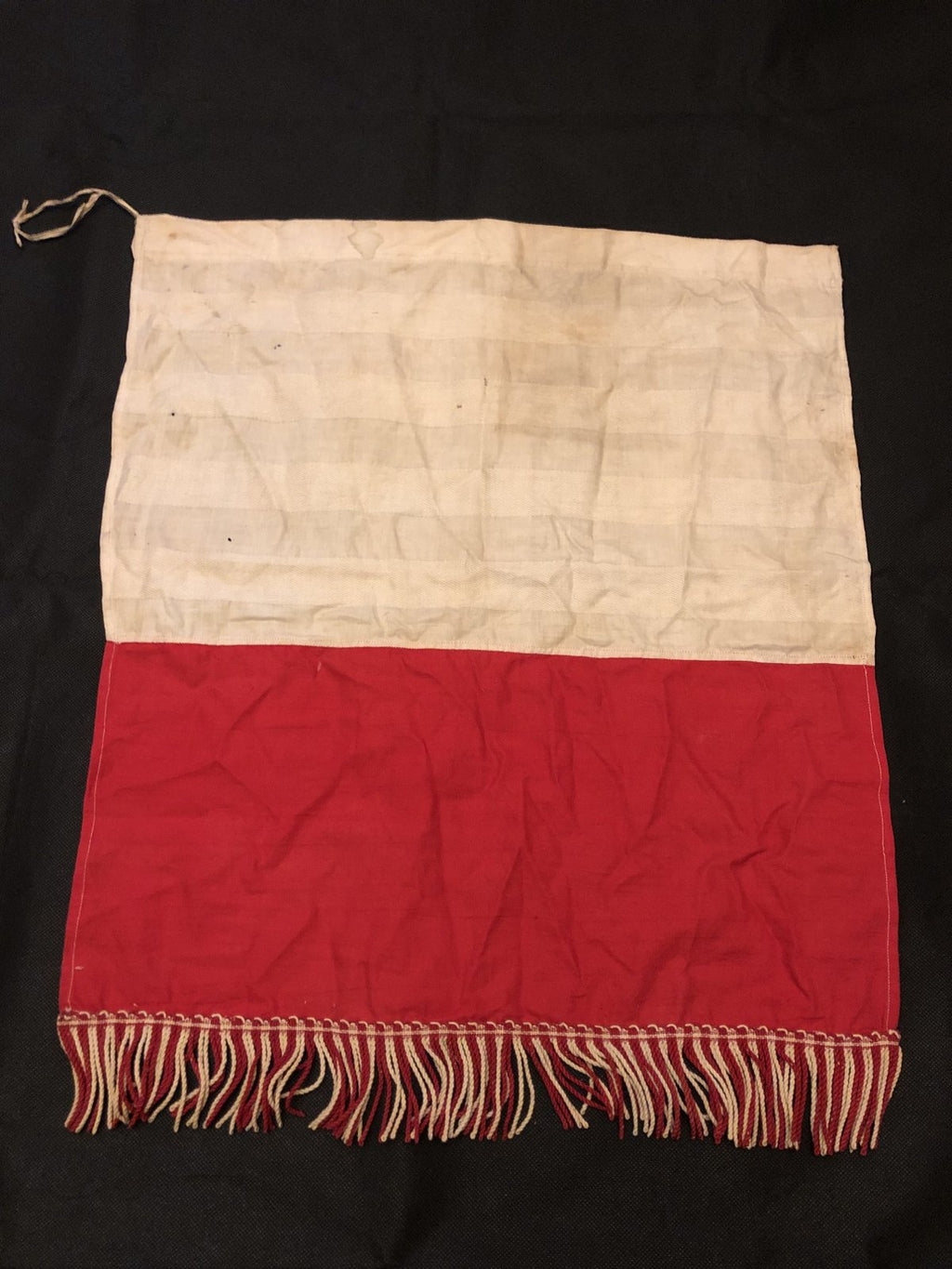 Poolse Panser eenheid vlag wo2