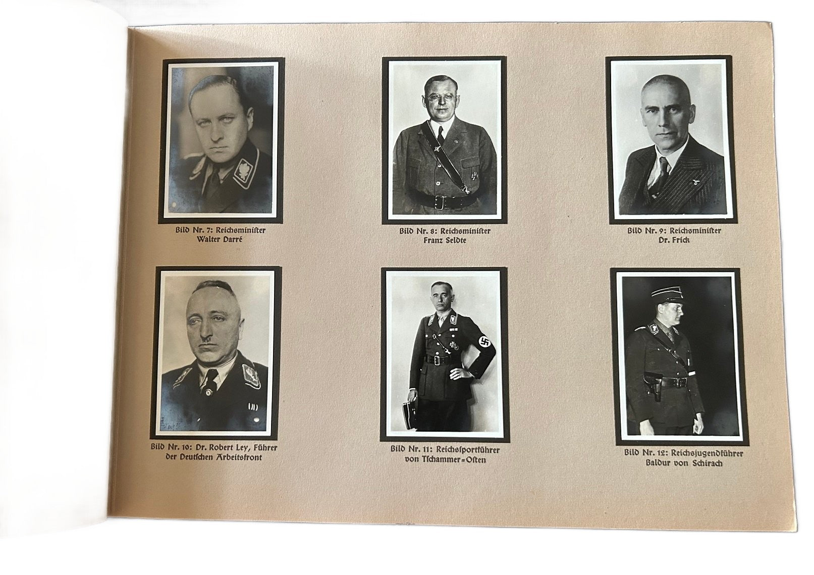 Sammelbilder album: Das Neue Reich