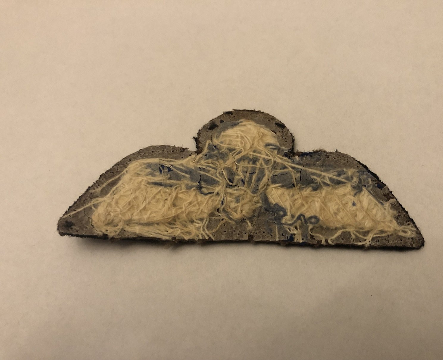 Handgeborduurde Para wing