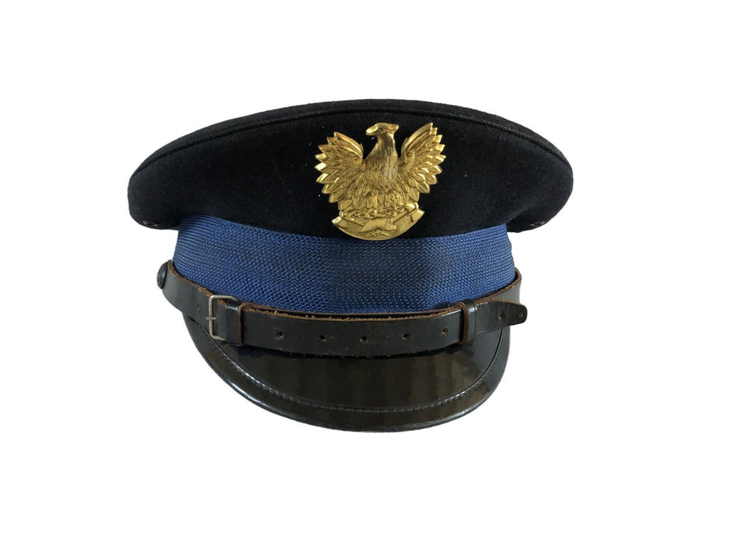 Poolse Brandweer pet