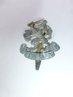 Nederlandse leeuw 1944