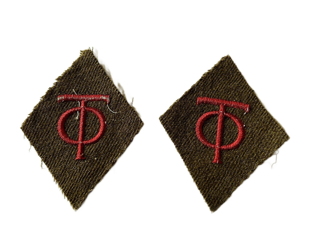 Organisation Todt   Kragenspiegel