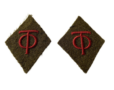 Organisation Todt   Kragenspiegel