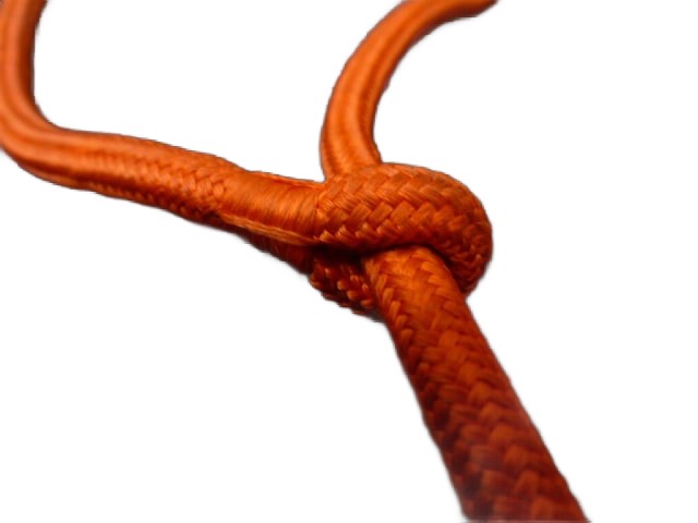 Oranje fluitkoord wo2