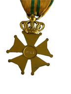 Wandel medaille 4daagse Nijmegen  4de keer