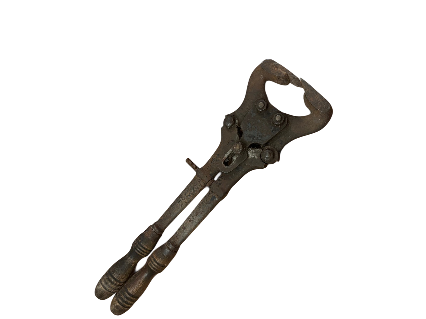 Antike veterinärmedizinische Pferdeklemme spätes -rond 1900