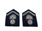 Very rare pair of Vichy collar badges, Maréchal Pétain WW2 bodyguard