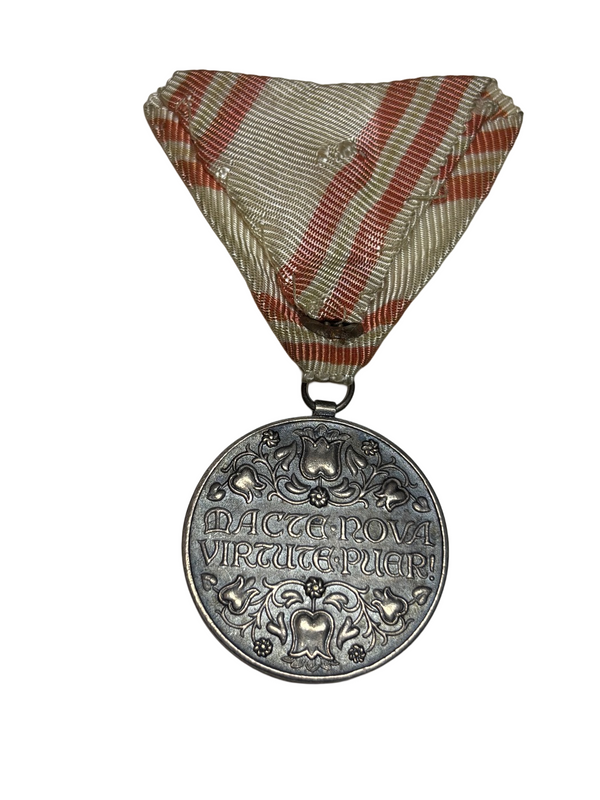 Zilveren Eremedaille Jeugdafdeling Hongaarse Rode Kruis WO2 hover image