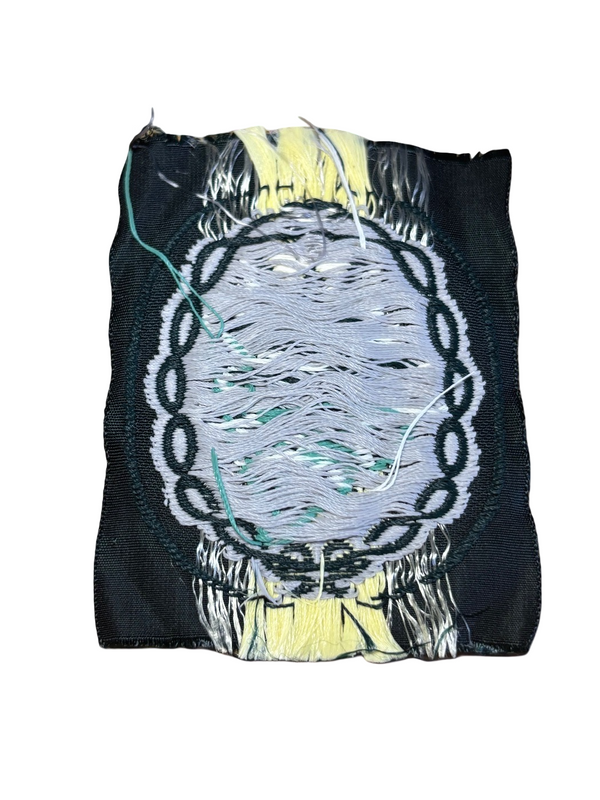 Edelweiss Gebirgsjager avant la Seconde Guerre mondiale hover image