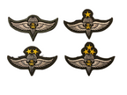 4x Para wings Royal Saudi Arabia