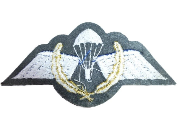 Para wing actie sprongen -'60er jaren hover image